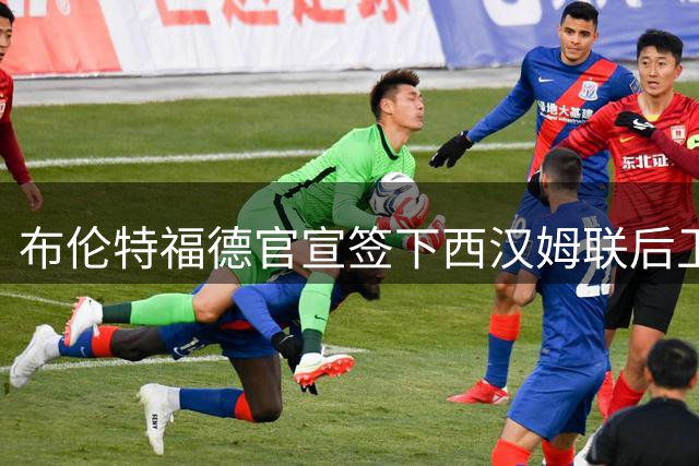 布伦特福德官宣签下西汉姆联后卫迪乌夫