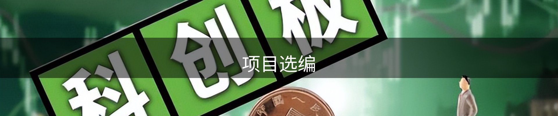 项目选编